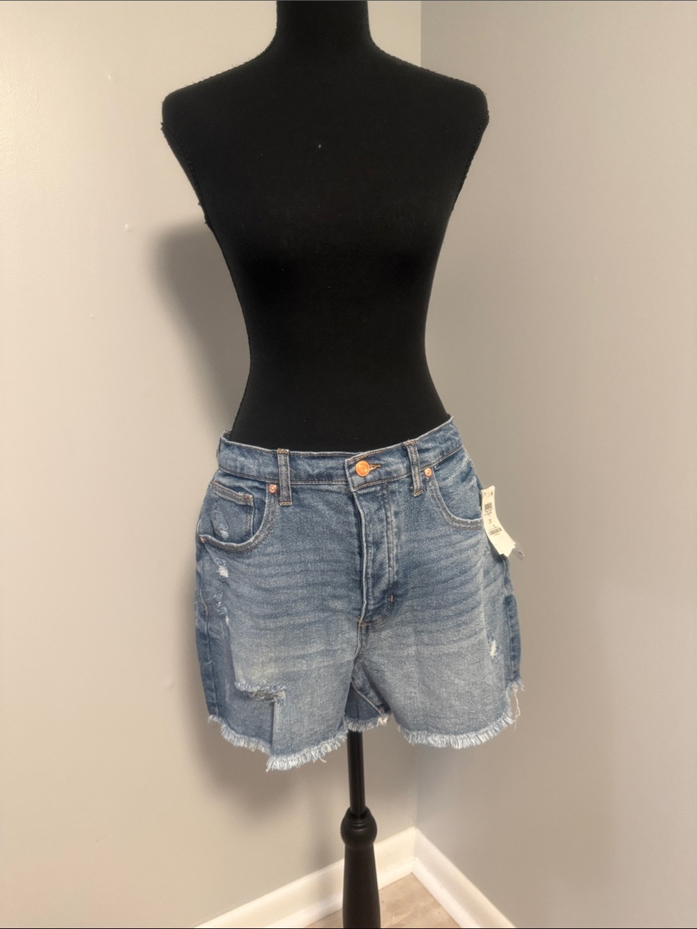 High-Rise Frayed Hem Denim Shorts — Blue
